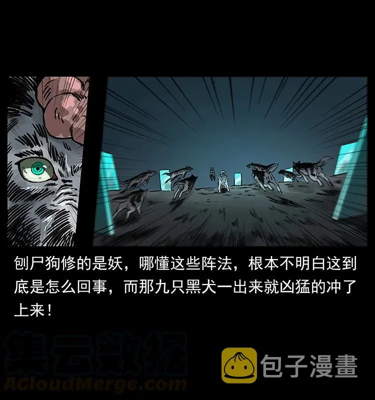 251 刨尸狗遇险 第85页