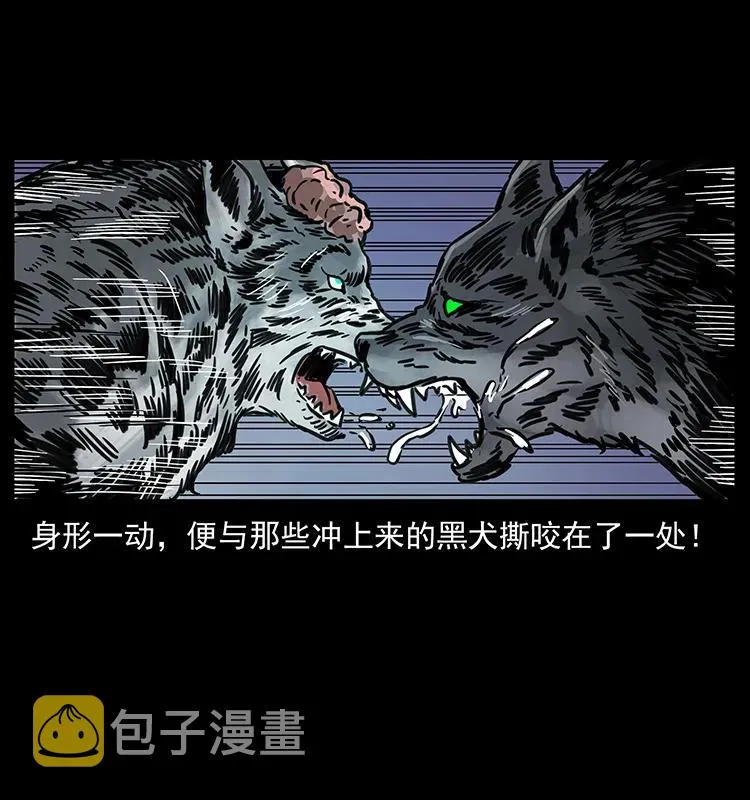 251 刨尸狗遇险 第88页