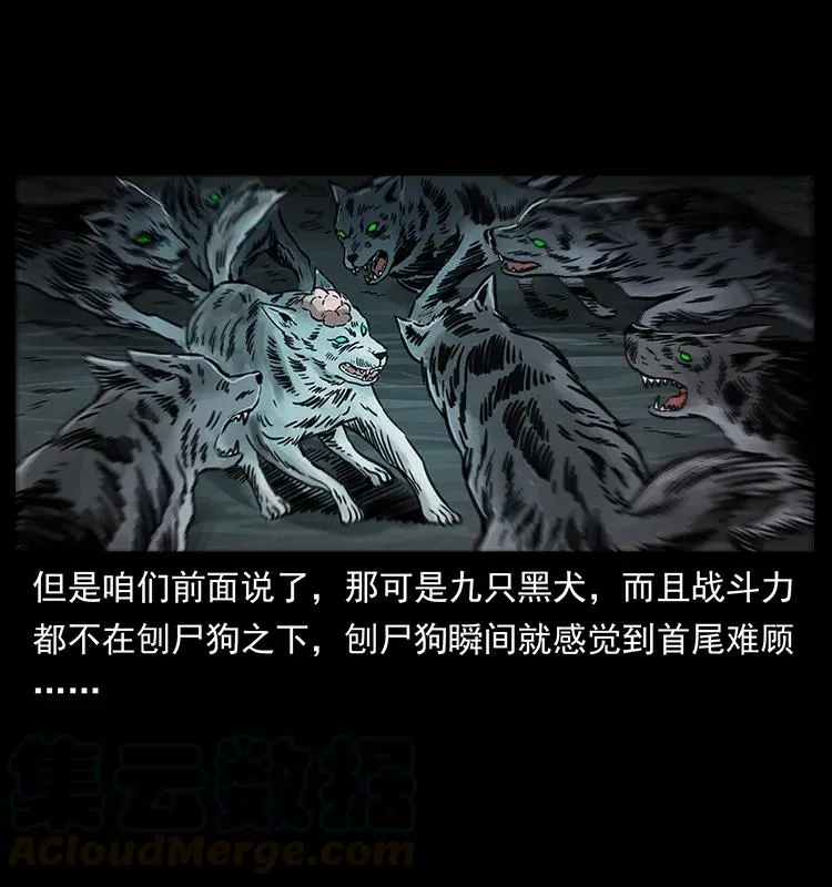 251 刨尸狗遇险 第89页
