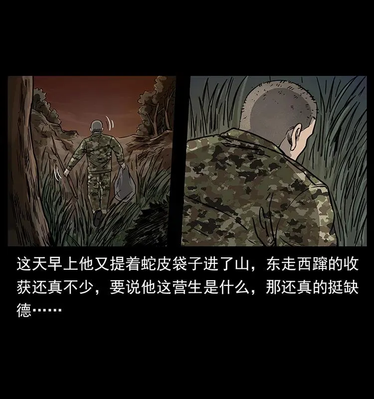 250 走失 第12页