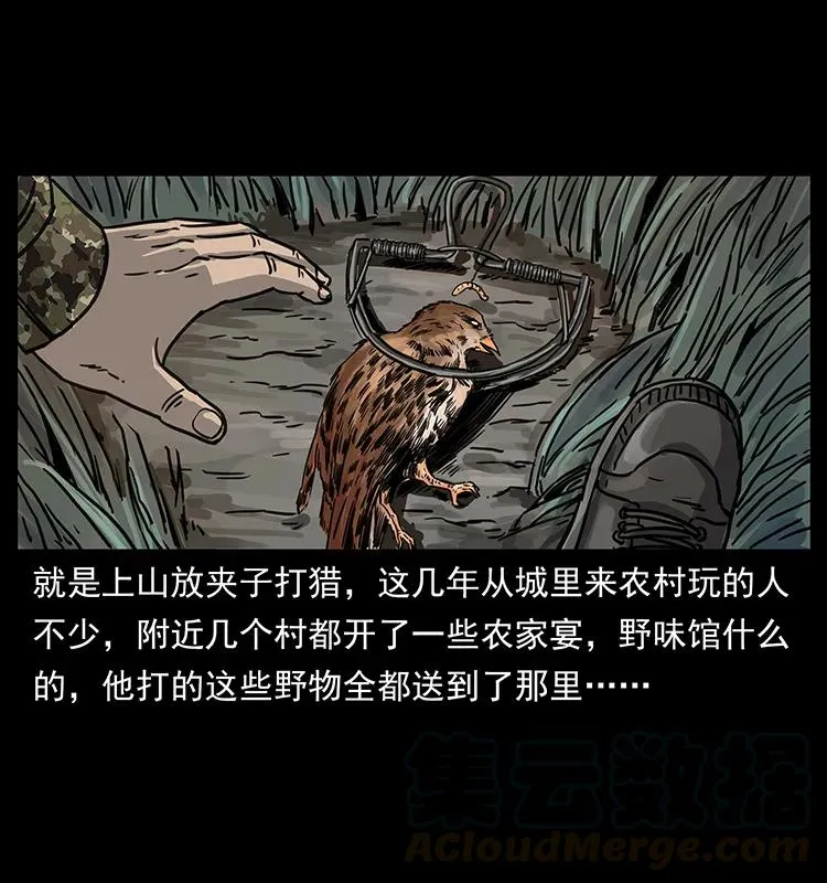 250 走失 第13页