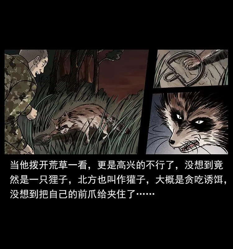 250 走失 第16页
