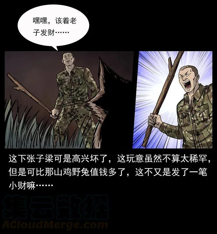 250 走失 第17页
