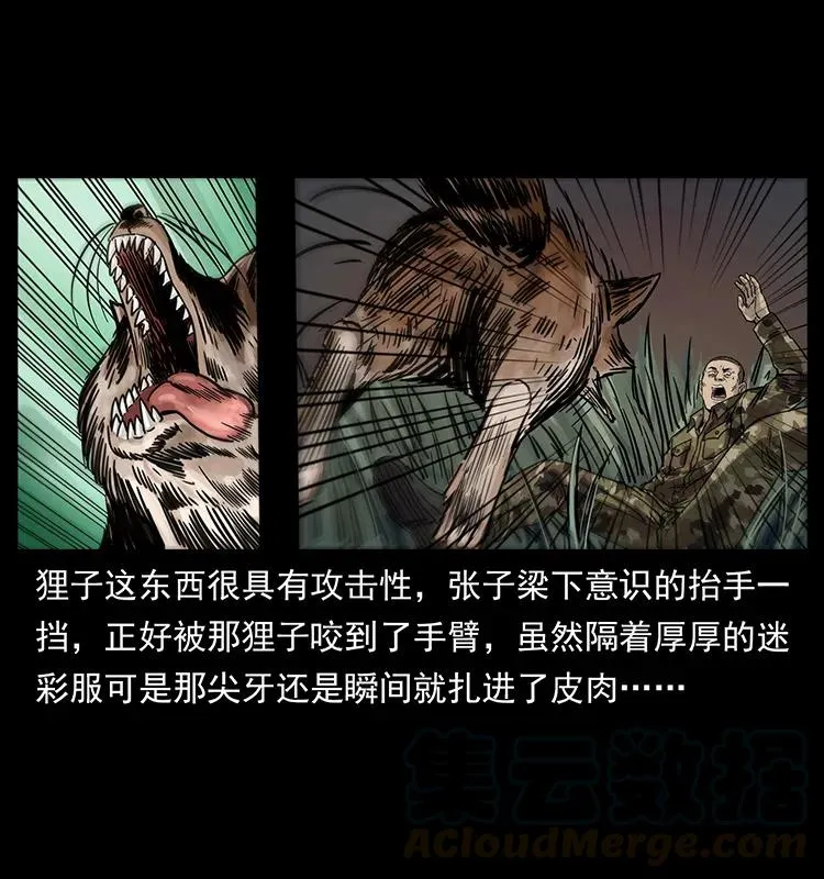 250 走失 第21页