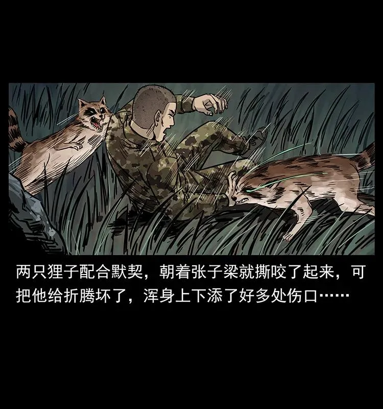 250 走失 第23页