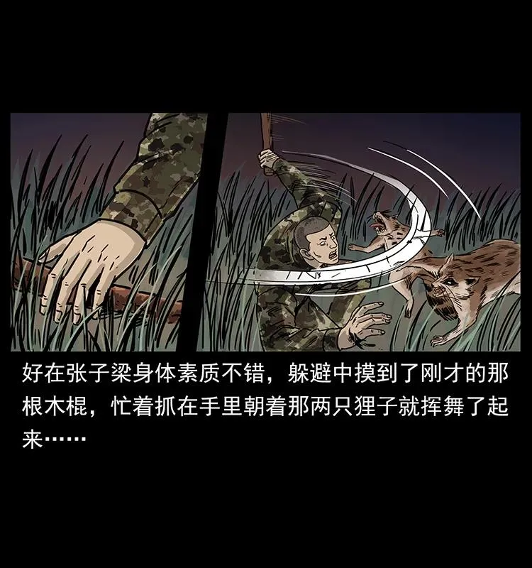 250 走失 第24页