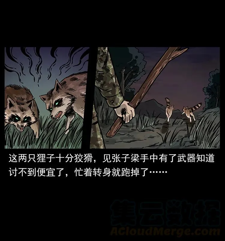 250 走失 第25页