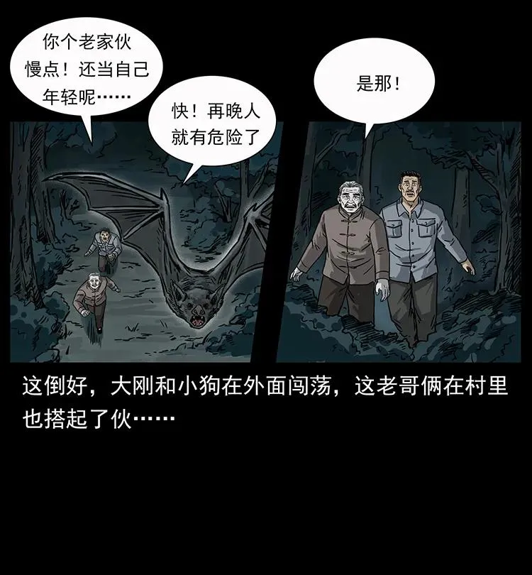 250 走失 第46页