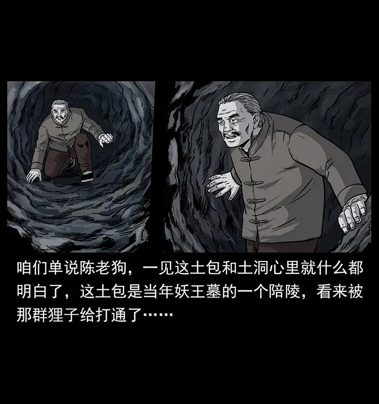 250 走失 第50页