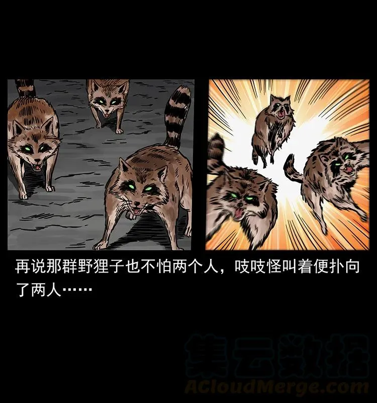 250 走失 第53页