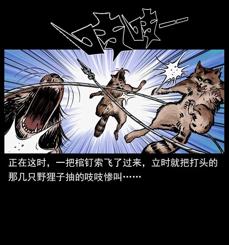 250 走失 第54页