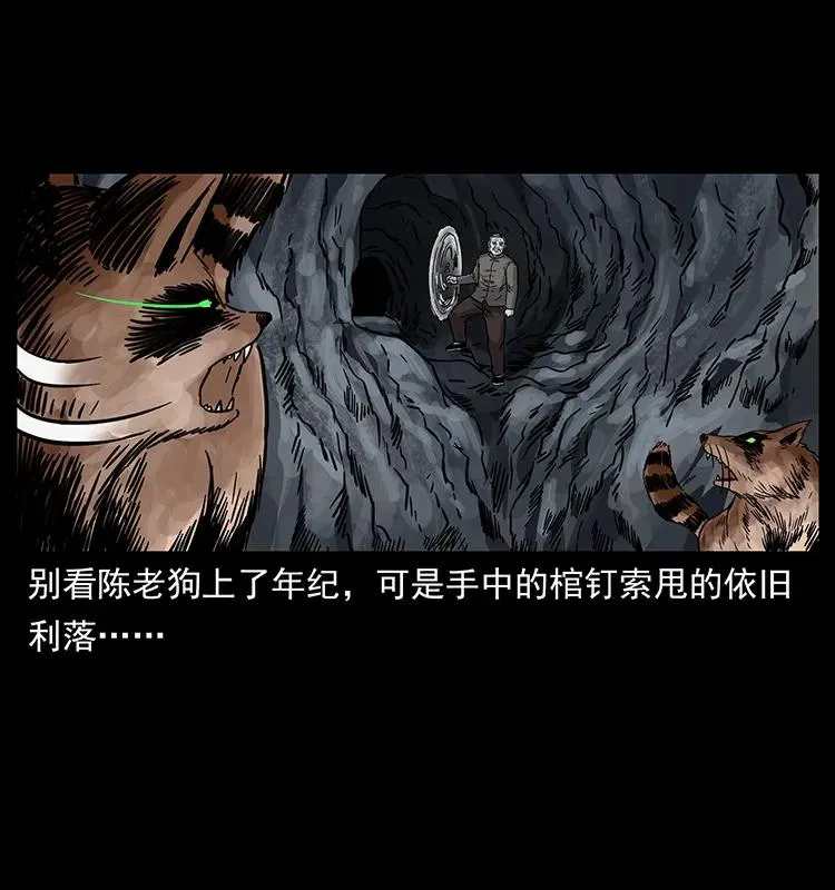 250 走失 第55页