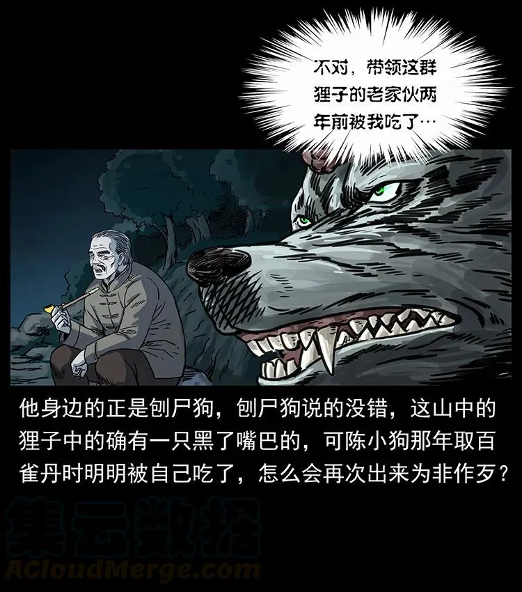 250 走失 第73页