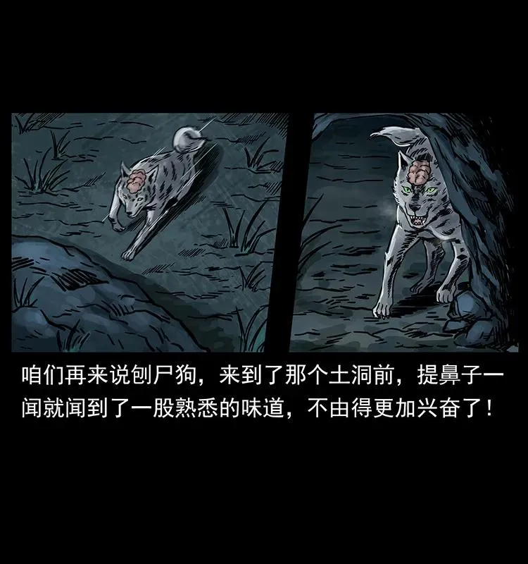 250 走失 第80页