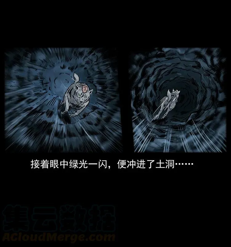 250 走失 第81页