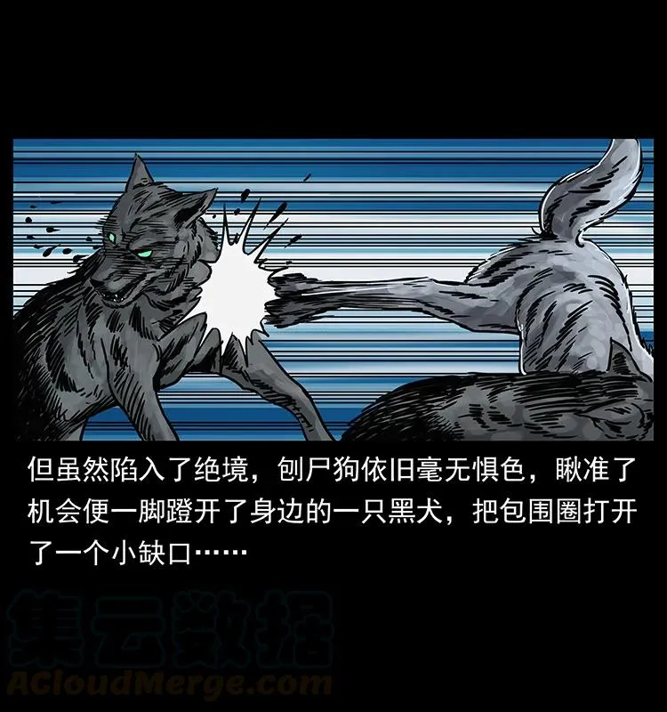 252 危机！危机 第5页