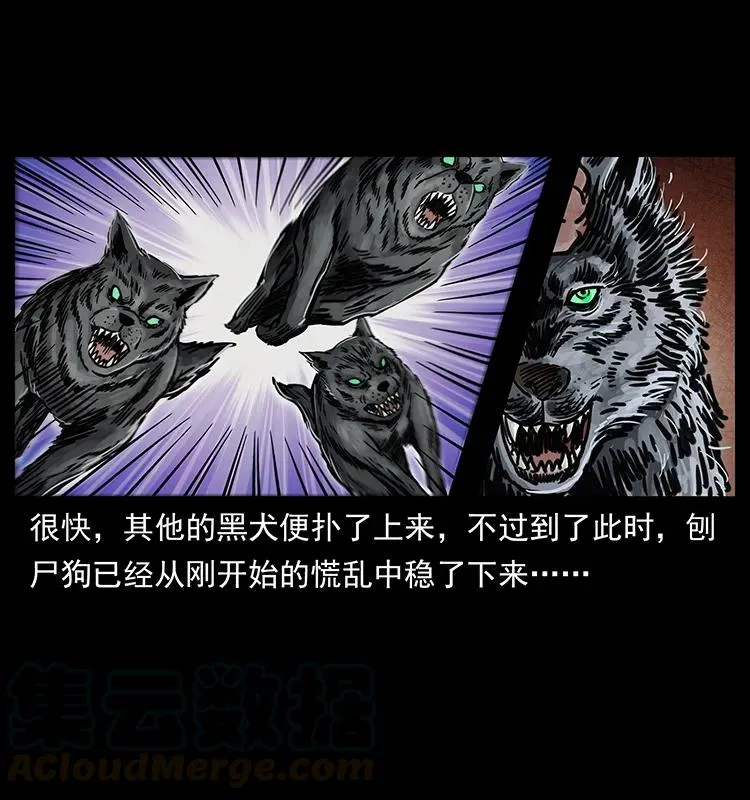 252 危机！危机 第9页