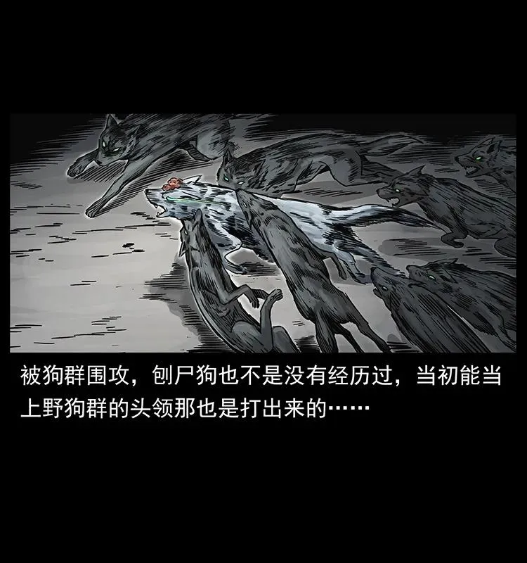 252 危机！危机 第10页