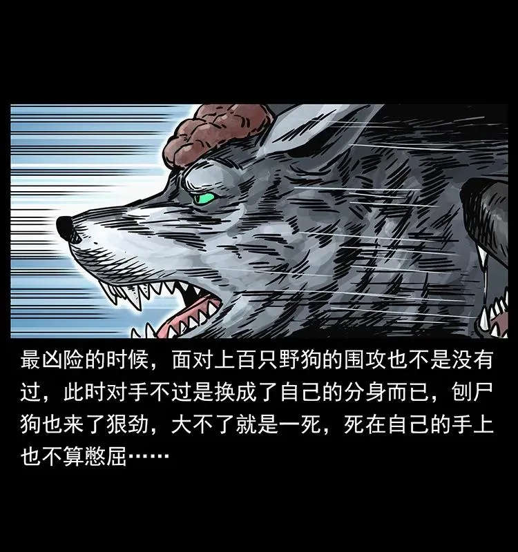 252 危机！危机 第11页