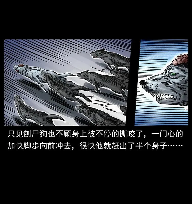 252 危机！危机 第12页