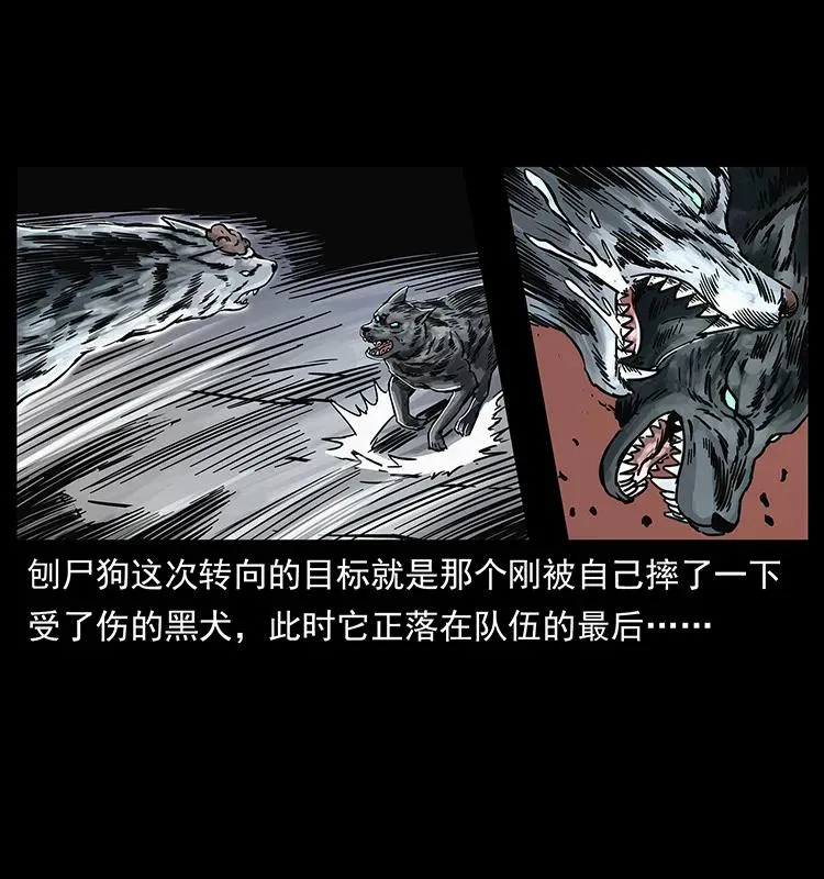 252 危机！危机 第15页
