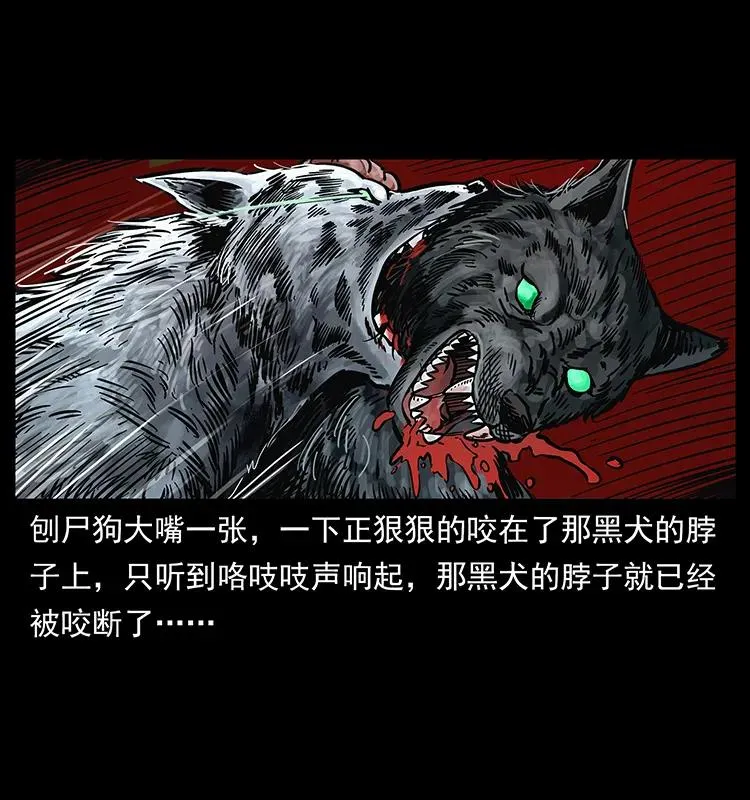 252 危机！危机 第16页