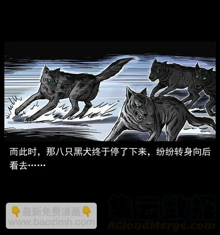 252 危机！危机 第17页