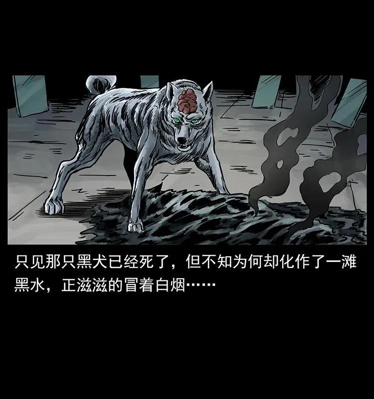 252 危机！危机 第18页