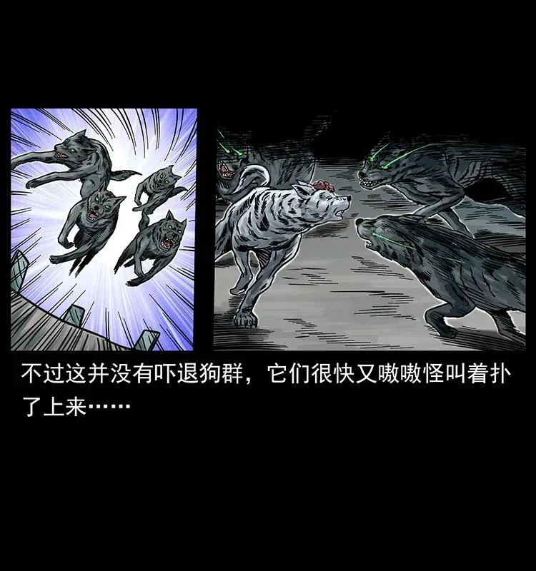 252 危机！危机 第19页