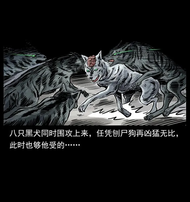 252 危机！危机 第20页