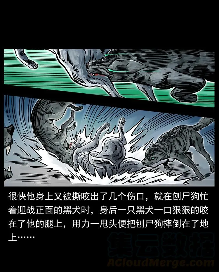 252 危机！危机 第21页