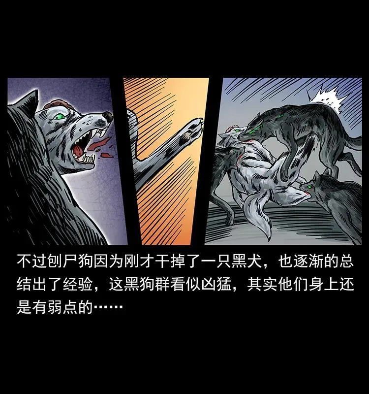 252 危机！危机 第23页