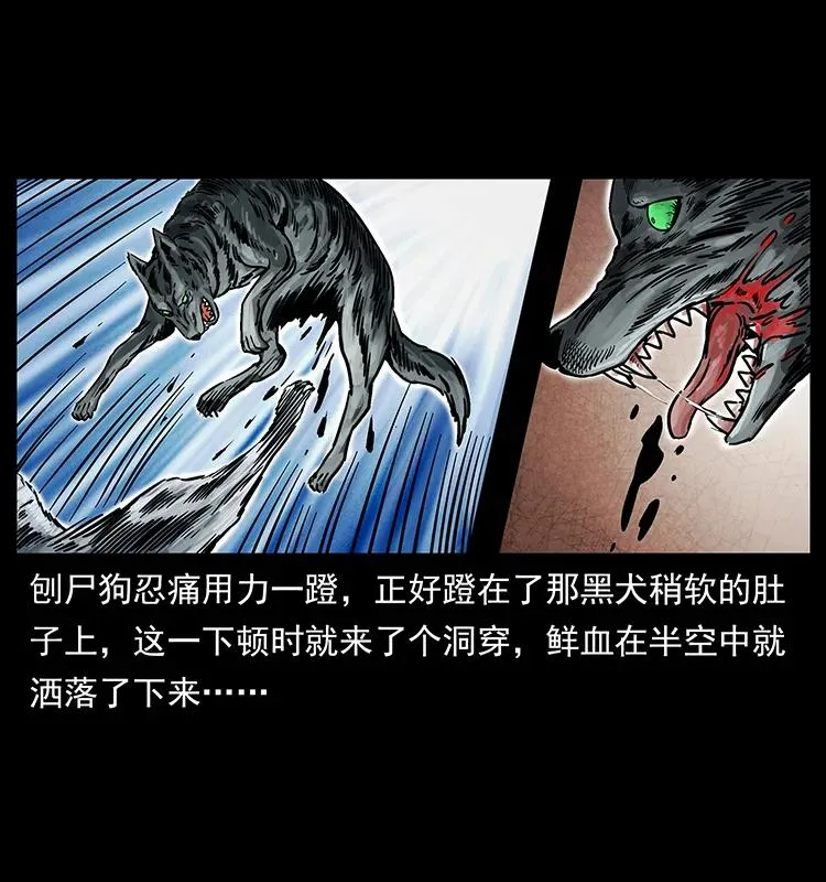 252 危机！危机 第24页