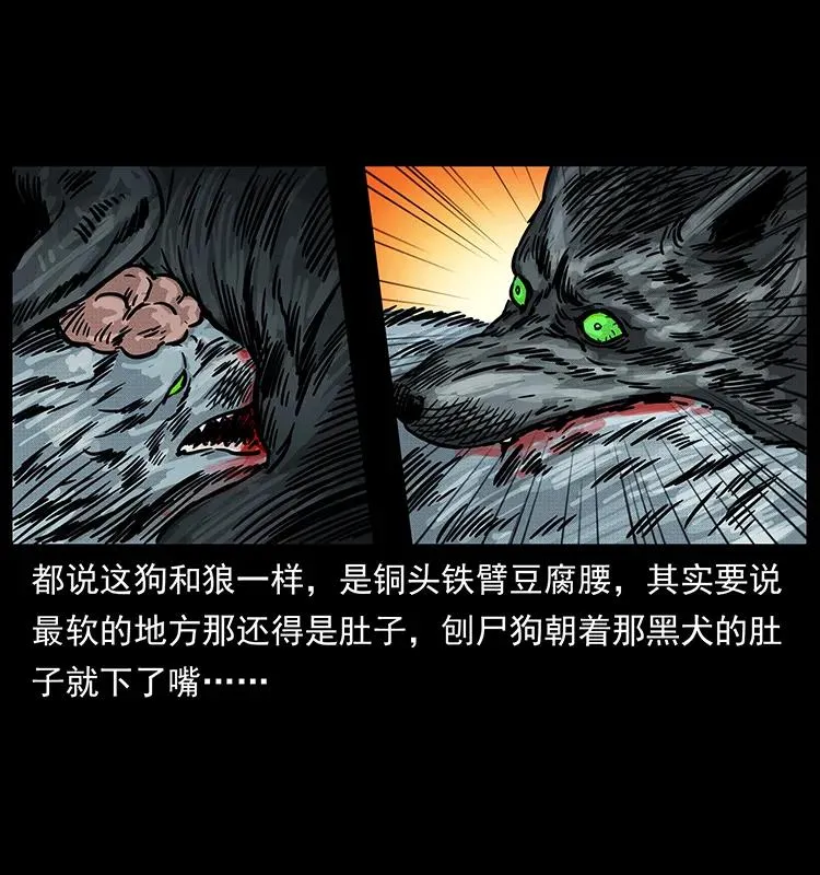 252 危机！危机 第26页