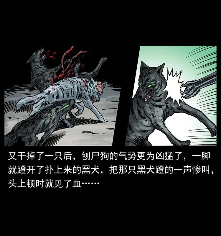 252 危机！危机 第28页