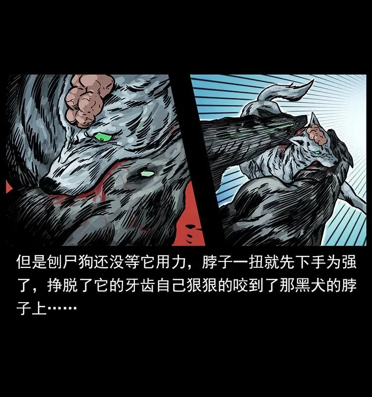 252 危机！危机 第30页