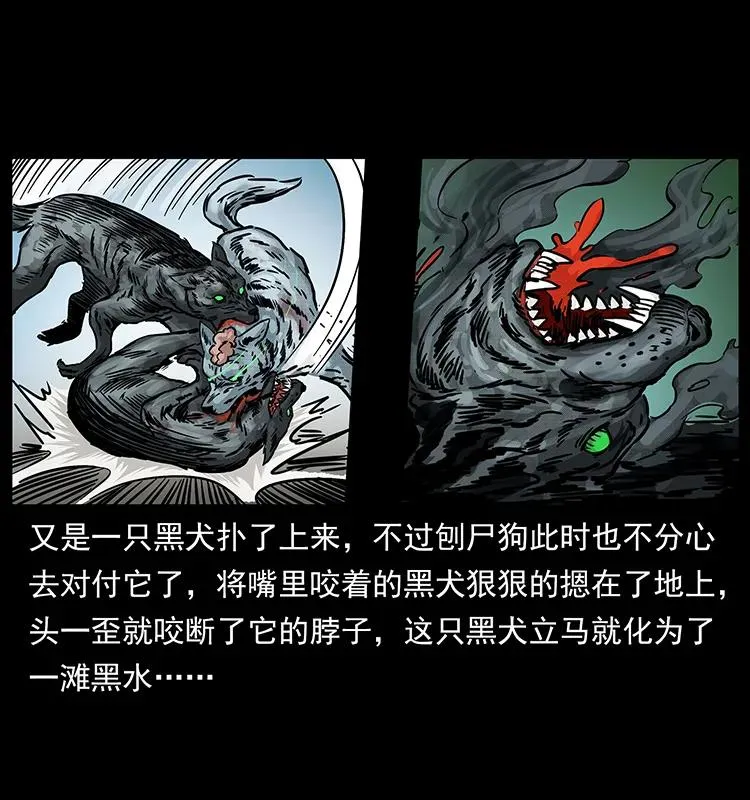 252 危机！危机 第31页