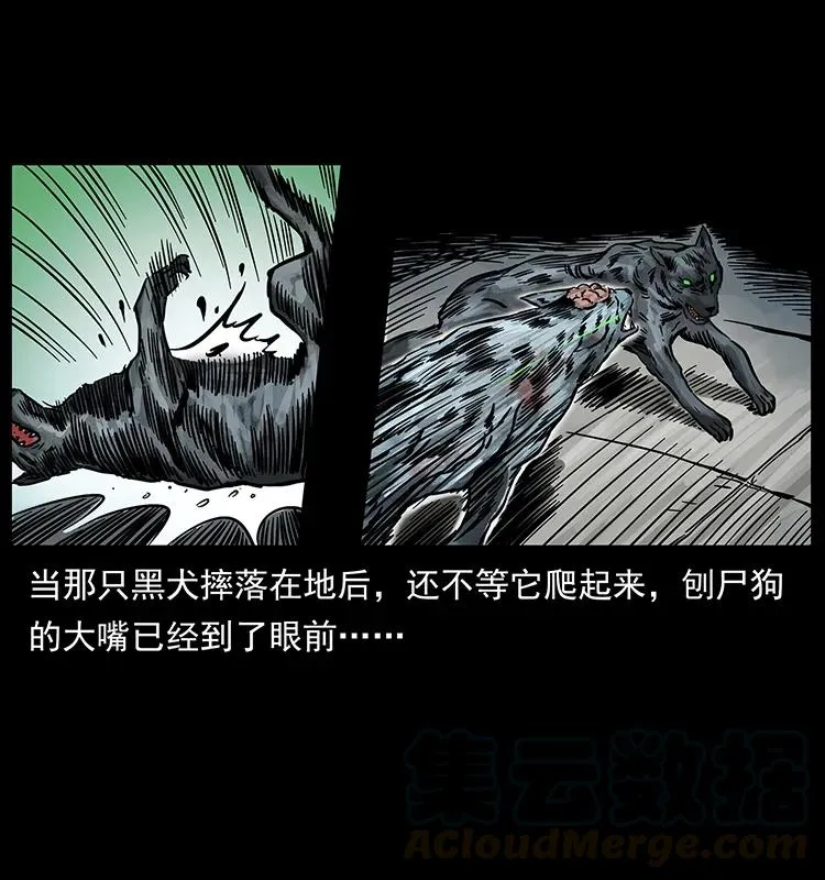 252 危机！危机 第33页