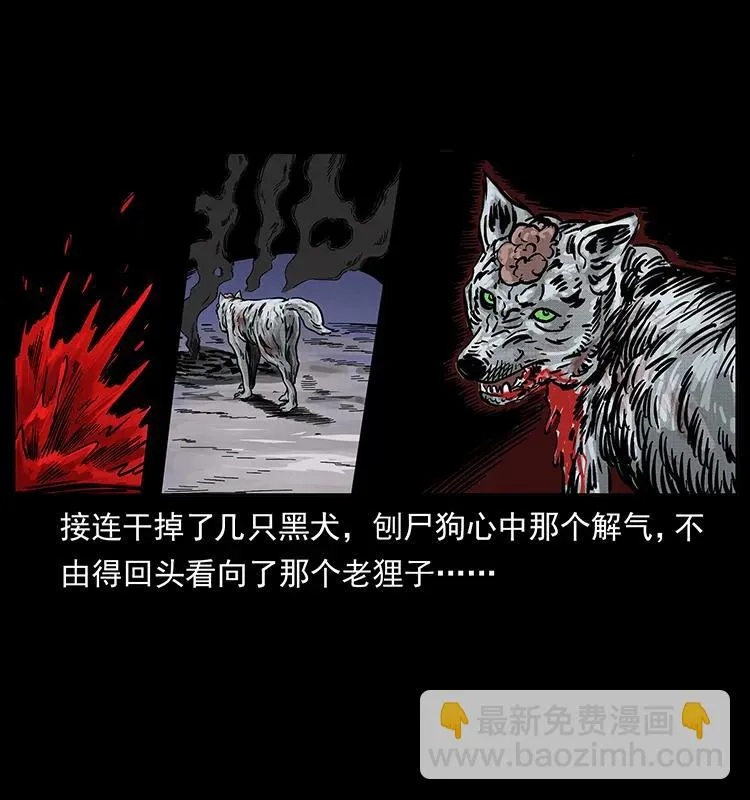 252 危机！危机 第35页