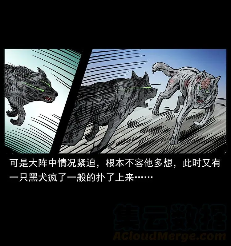 252 危机！危机 第37页