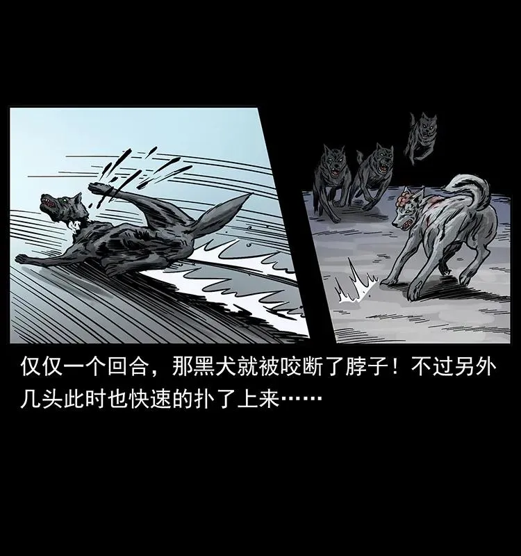 252 危机！危机 第39页