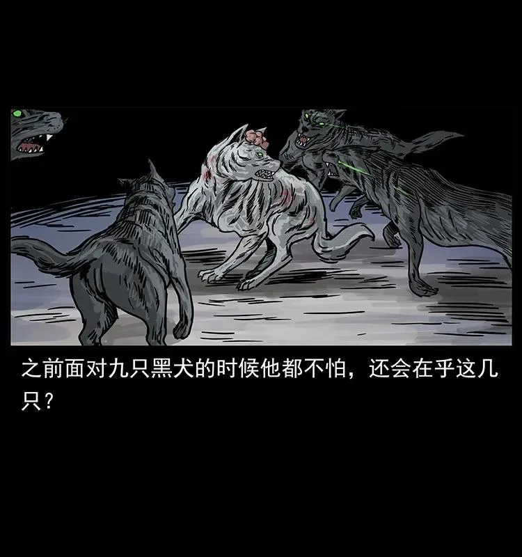 252 危机！危机 第40页