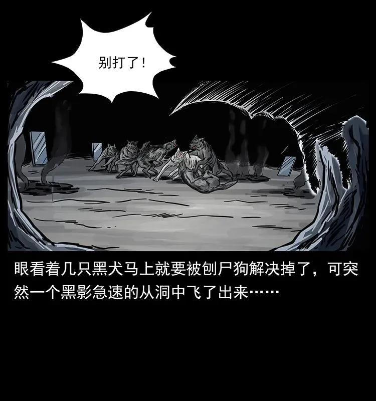 252 危机！危机 第42页