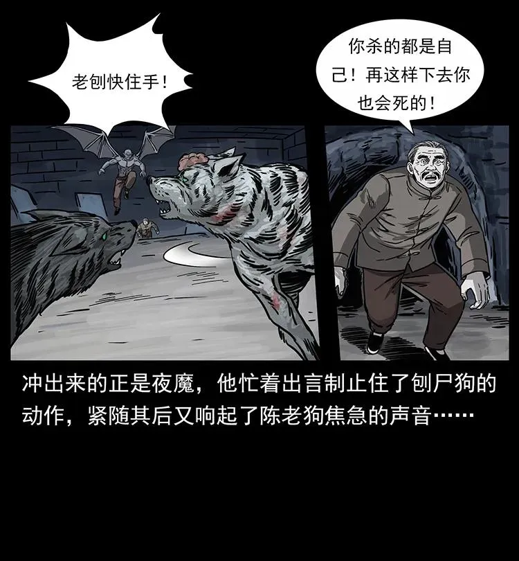 252 危机！危机 第43页