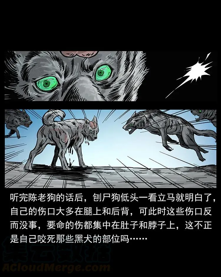 252 危机！危机 第45页
