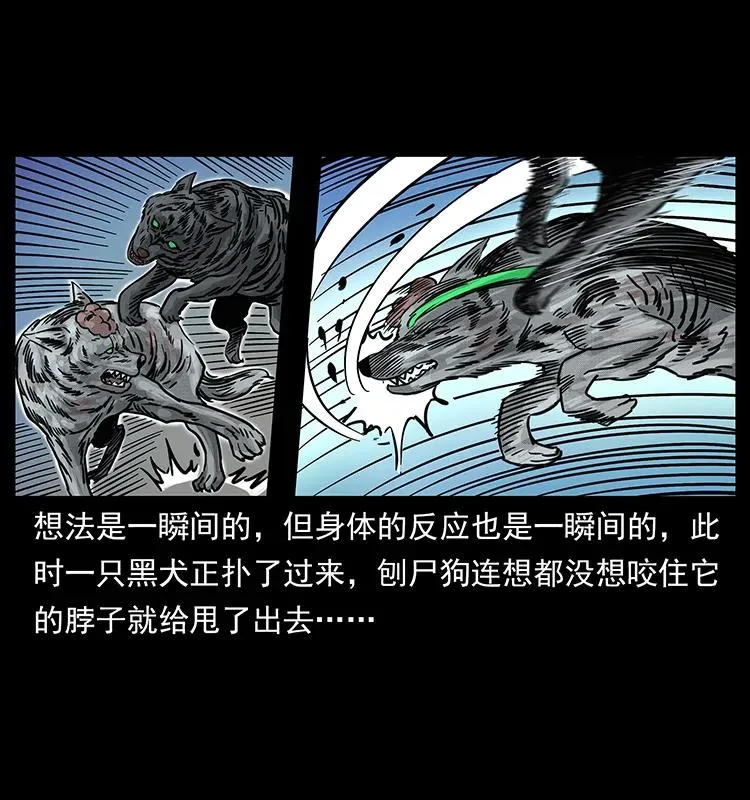 252 危机！危机 第46页