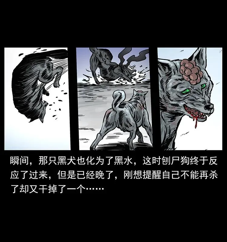 252 危机！危机 第47页