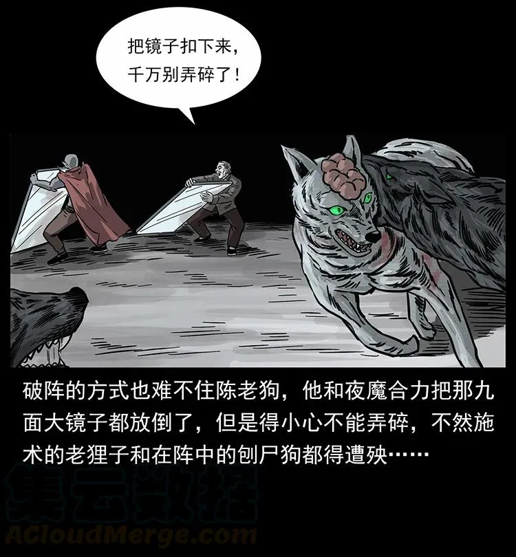 252 危机！危机 第49页