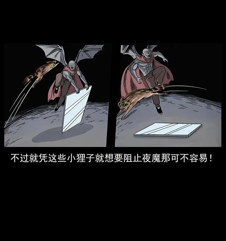 252 危机！危机 第51页