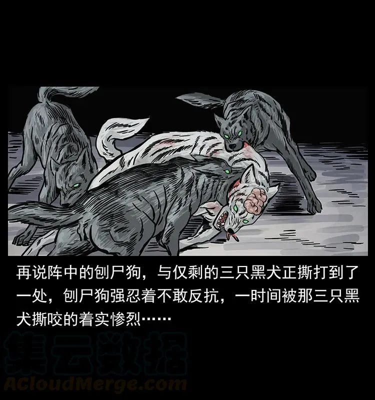 252 危机！危机 第53页